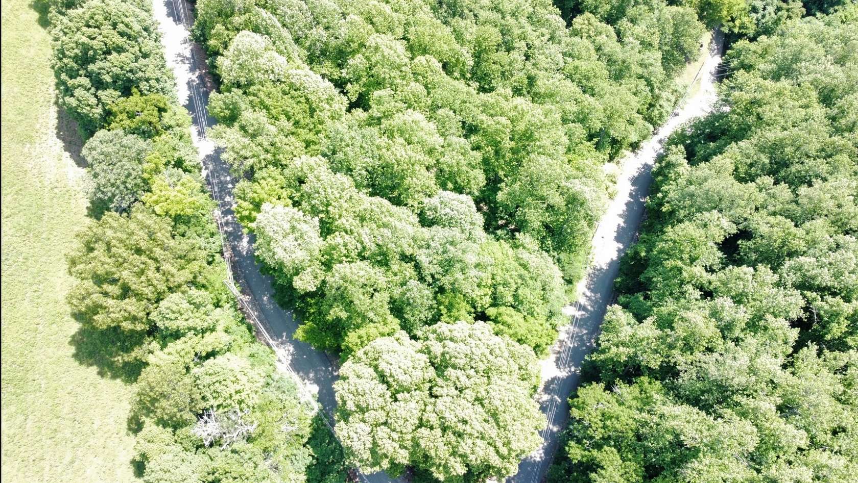 1.3 Acres of Residential Land for Sale in Lancaster, Tennessee