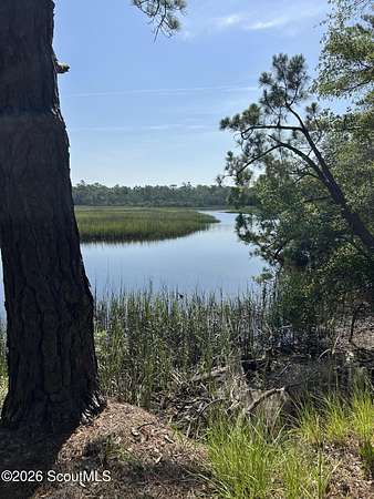 9.5 Acres of Land for Sale in Brunswick, Georgia