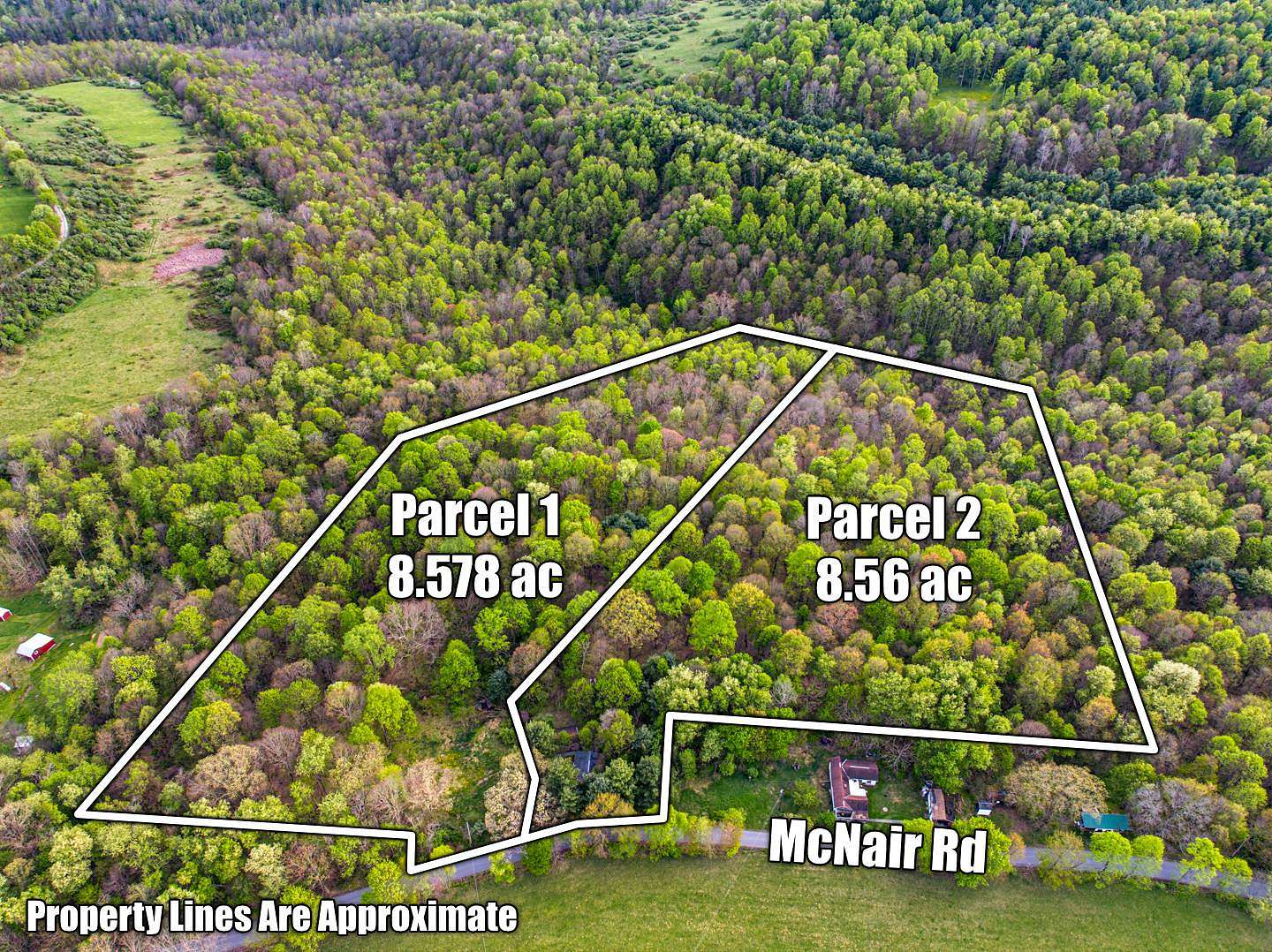 17.1 Acres of Recreational & Residential Land for Auction in Albright, West Virginia
