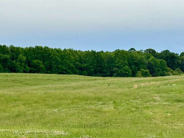 138 Acres of Land for Auction in Houston, Alabama