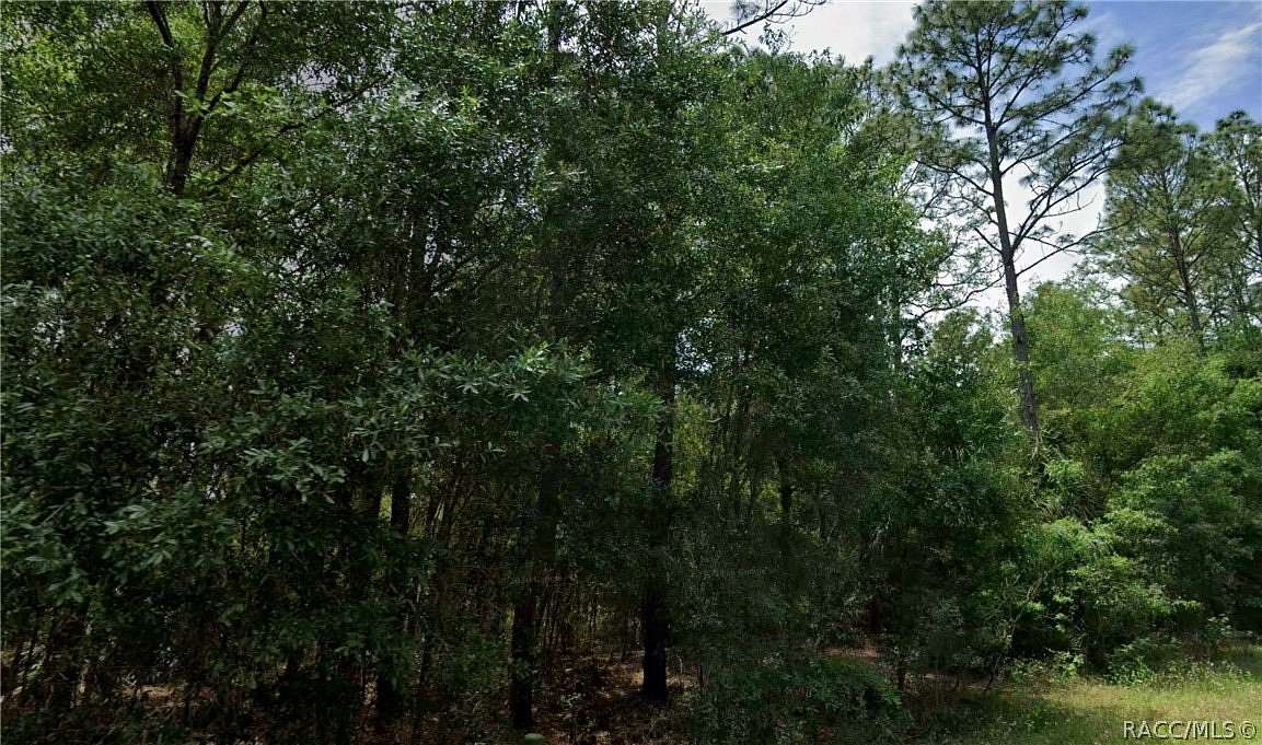 0.23 Acres of Residential Land for Sale in Citrus Springs, Florida