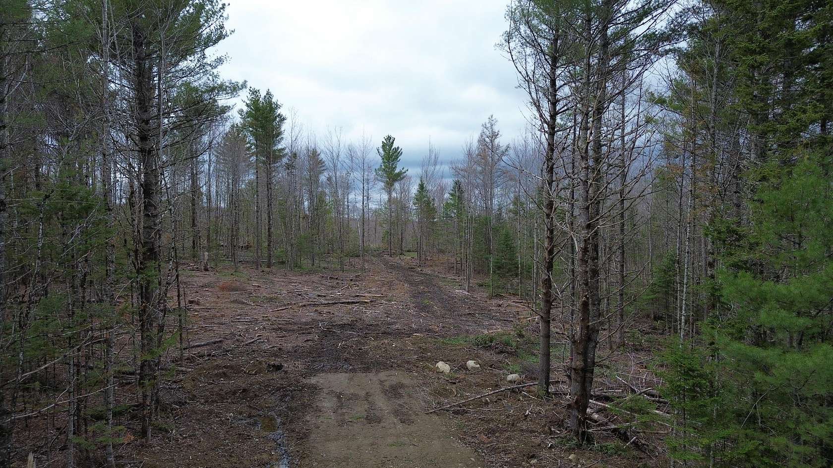 5.7 Acres of Residential Land for Sale in Orient, Maine