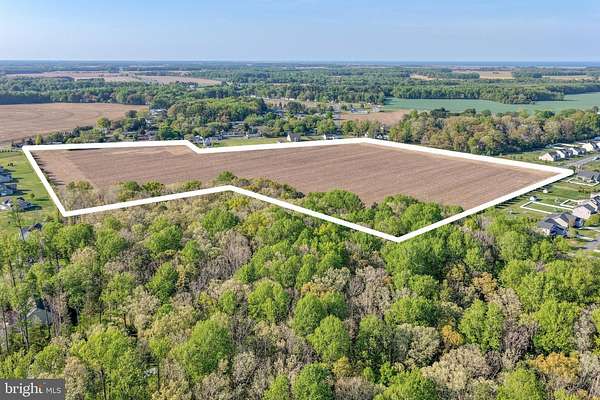 47.8 Acres of Land for Sale in Milton, Delaware