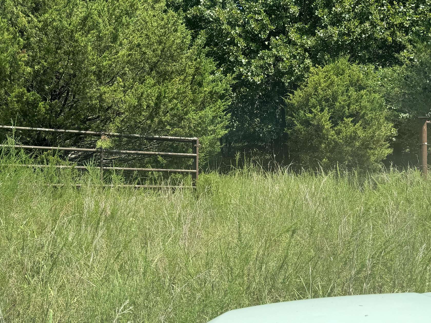 42 Acres of Recreational & Residential Land for Sale in Squires, Missouri