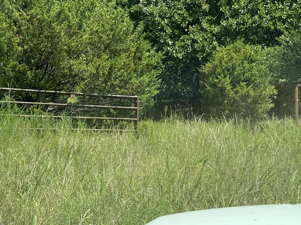 42 Acres of Recreational & Residential Land for Sale in Squires, Missouri