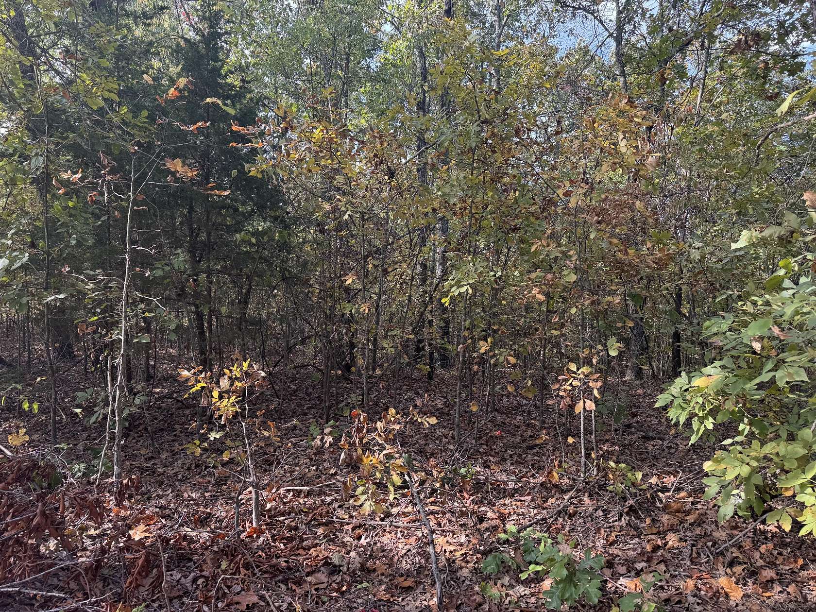 6.3 Acres of Land for Sale in Norwood, Missouri