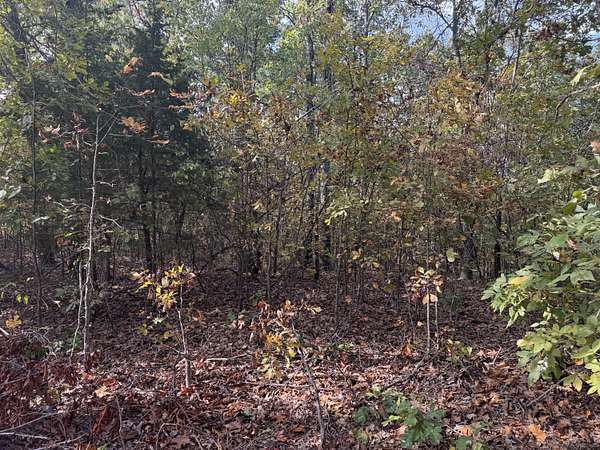 6.3 Acres of Land for Sale in Norwood, Missouri