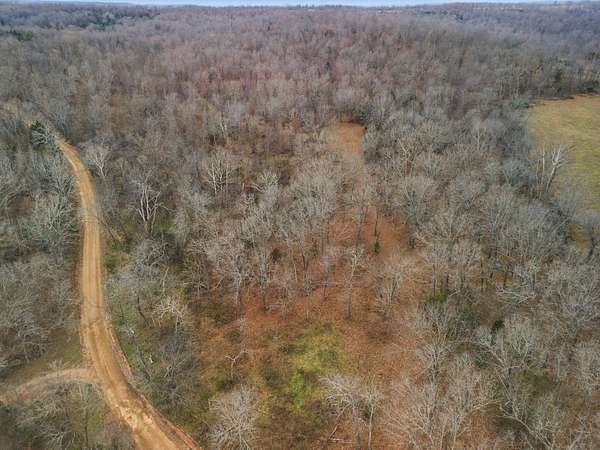 72.5 Acres of Recreational Land for Sale in Thayer, Missouri