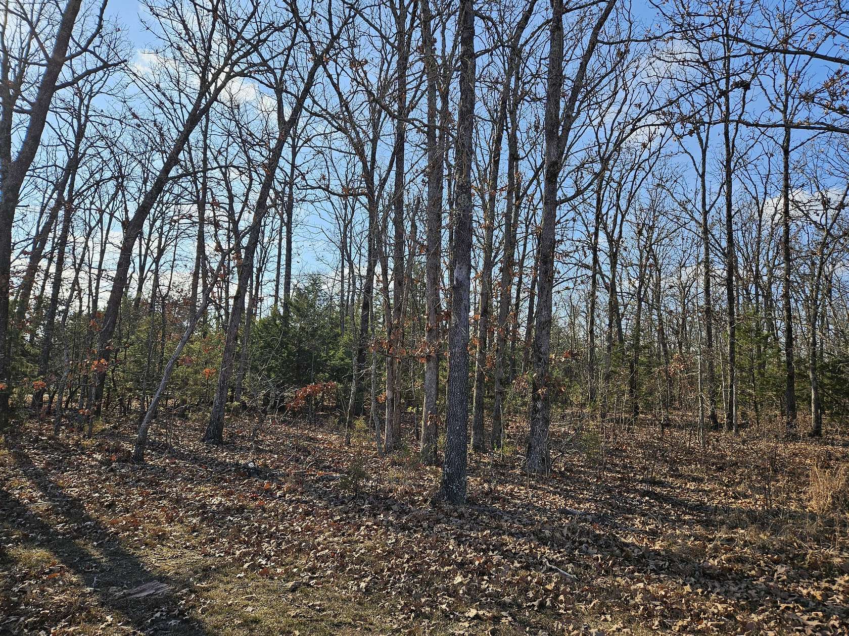4.52 Acres of Land for Sale in Marionville, Missouri