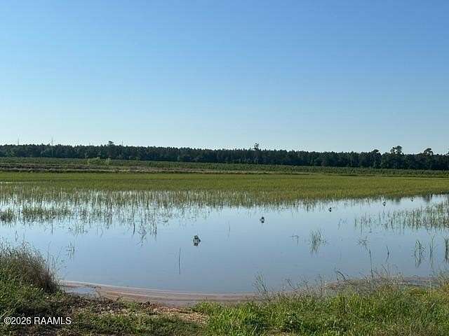 694 Acres of Agricultural Land for Sale in Oberlin, Louisiana