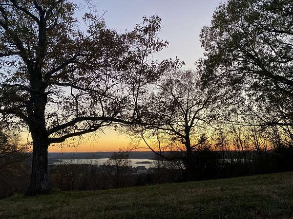 47 Acres of Recreational Land for Sale in Hollister, Missouri