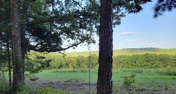 62 Acres of Land for Sale in Norwood, Missouri