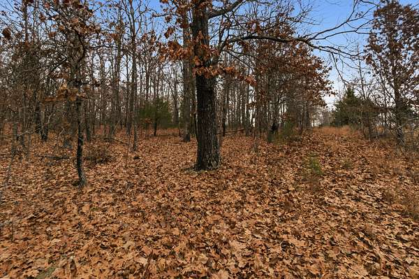 68.6 Acres of Recreational & Residential Land for Sale in Mountain View, Missouri