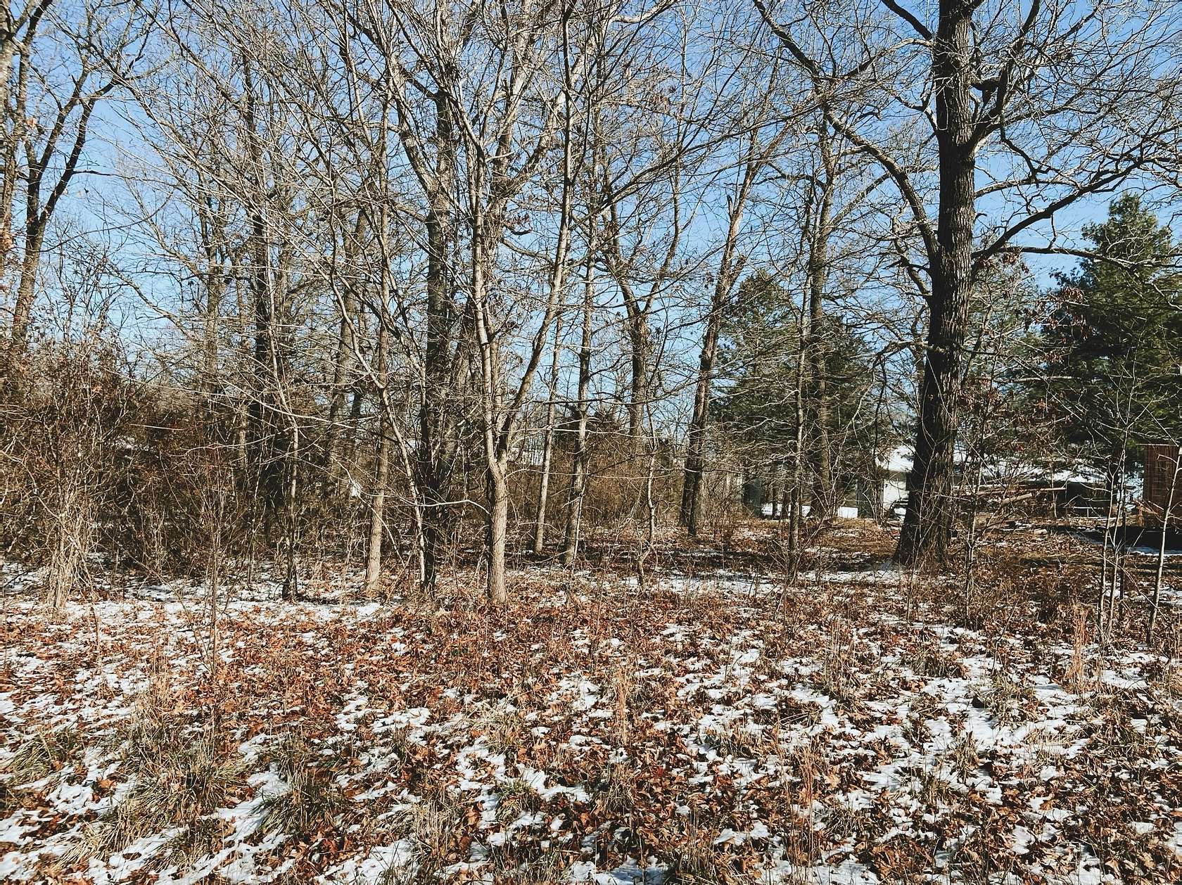 0.39 Acres of Land for Sale in West Plains, Missouri