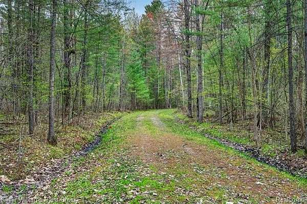 1.6 Acres of Residential Land for Sale in Gladwin, Michigan