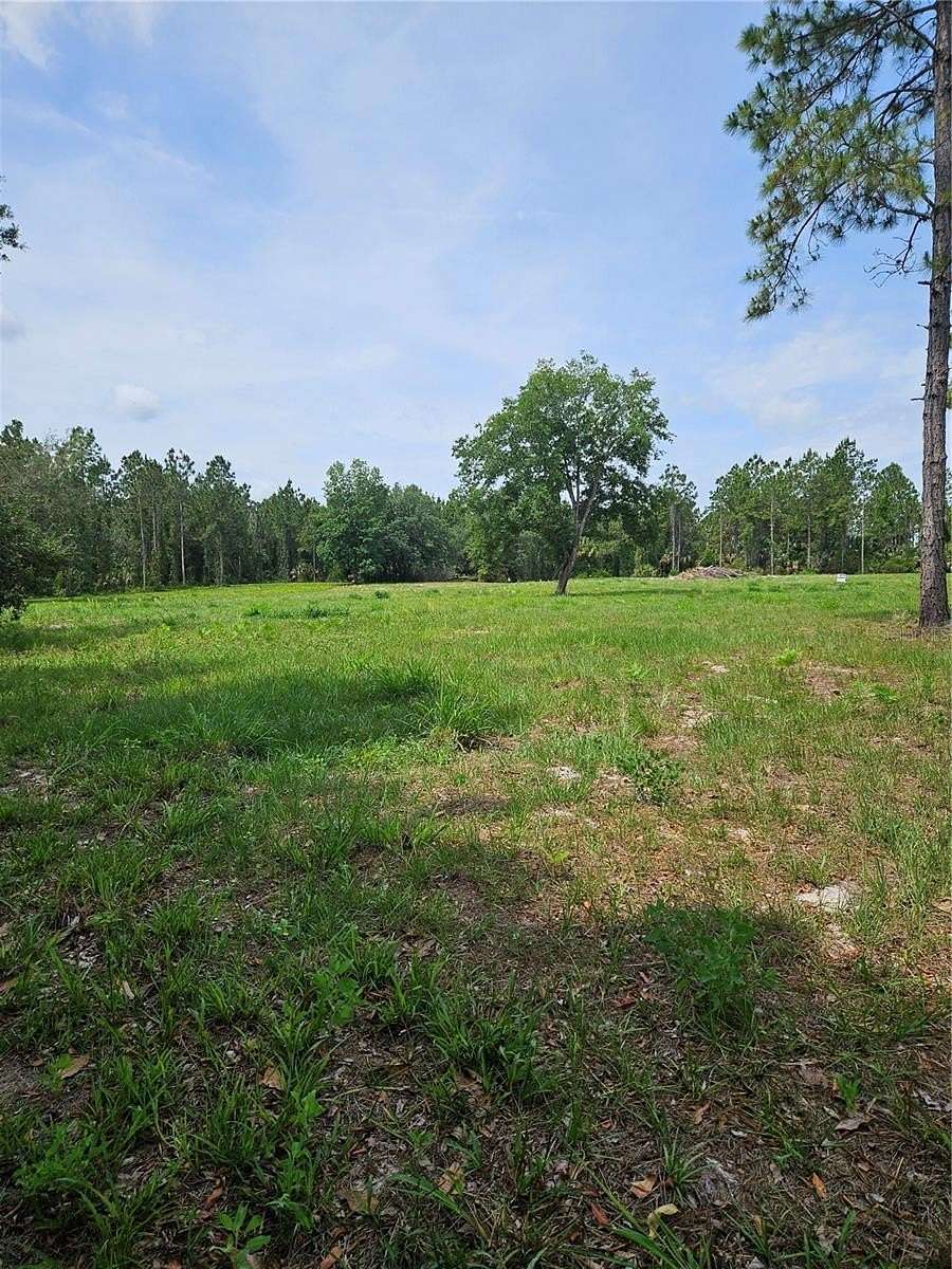 21 Acres of Recreational & Residential Land for Sale in Geneva, Florida