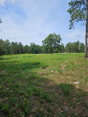 21 Acres of Recreational & Residential Land for Sale in Geneva, Florida