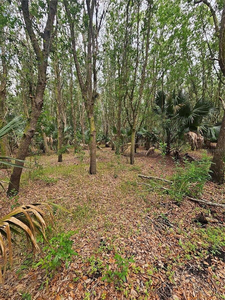 8.88 Acres of Land for Sale in Oviedo, Florida