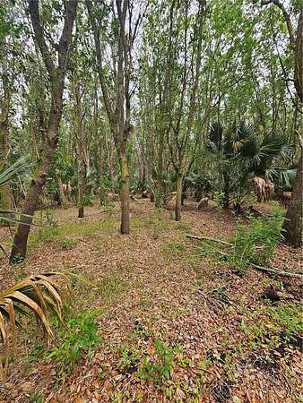 8.88 Acres of Land for Sale in Oviedo, Florida