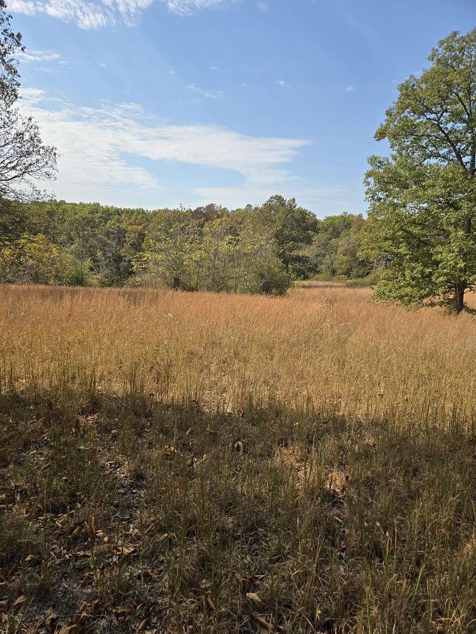85.5 Acres of Land for Sale in Ava, Missouri