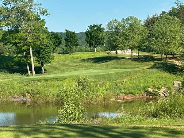 25 Acres of Mixed-Use Land for Sale in Branson, Missouri