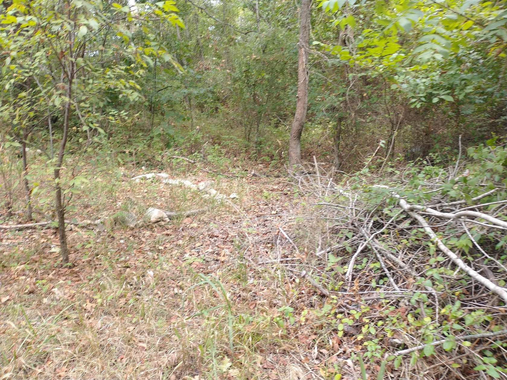 0.34 Acres of Land for Sale in Branson, Missouri