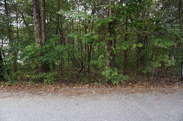 0.25 Acres of Land for Sale in Branson, Missouri