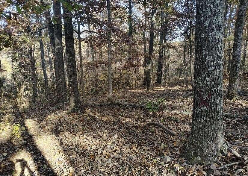 12 Acres of Land for Sale in Caulfield, Missouri