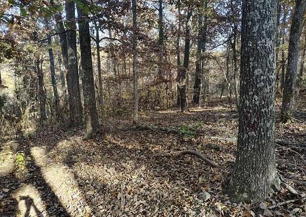 12 Acres of Land for Sale in Caulfield, Missouri