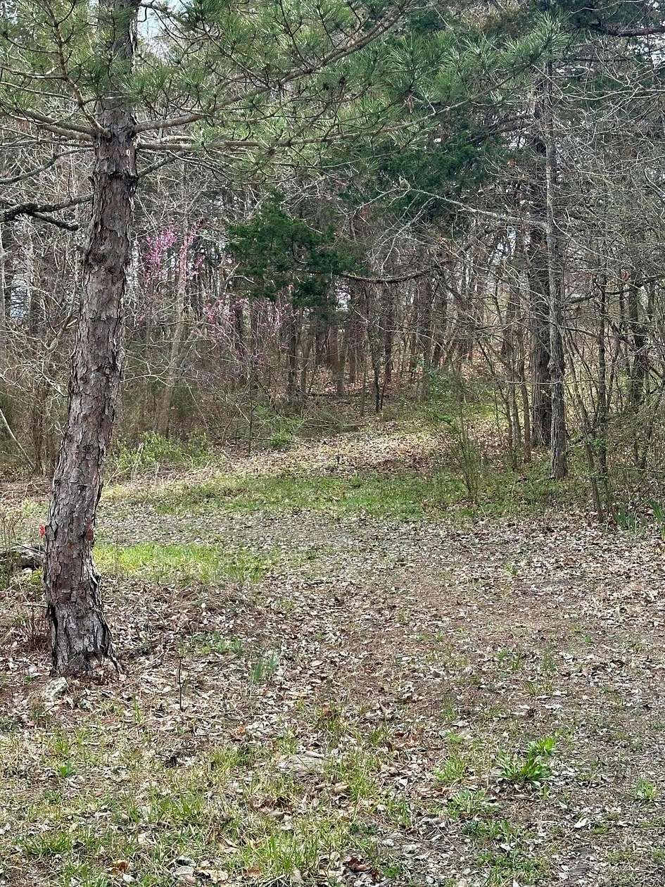 0.74 Acres of Land for Sale in Hollister, Missouri