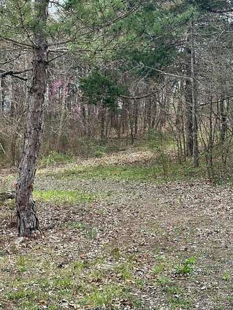 0.74 Acres of Land for Sale in Hollister, Missouri