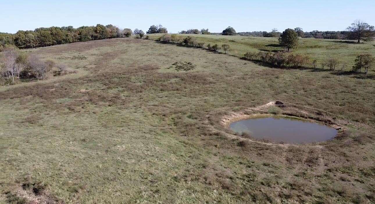 27.1 Acres of Agricultural & Residential Land for Sale in Ava, Missouri