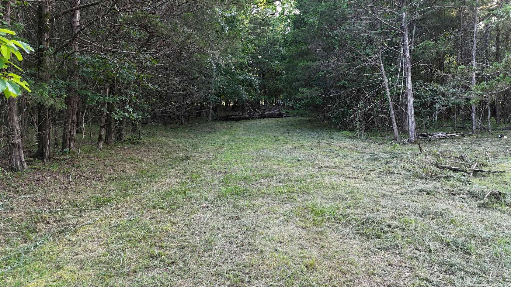 0.96 Acres of Land for Sale in Golden, Missouri