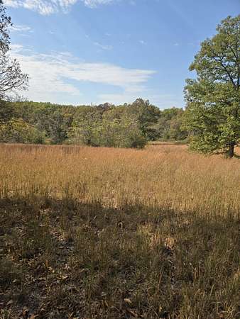 20 Acres of Land for Sale in Ava, Missouri