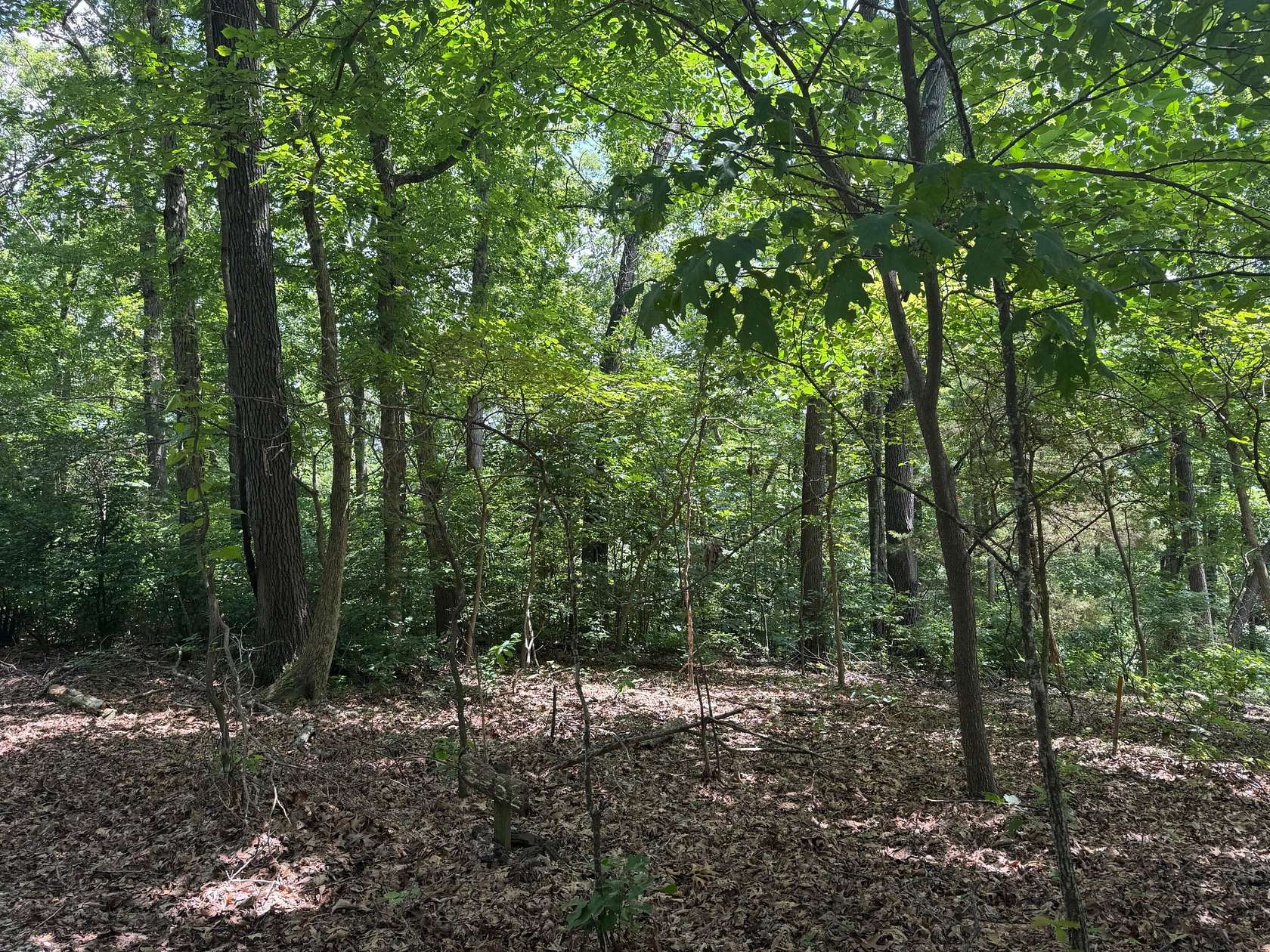 3.49 Acres of Land for Sale in Cassville, Missouri