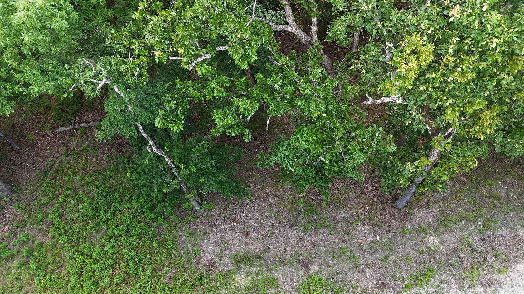 0.74 Acres of Residential Land for Sale in Golden, Missouri