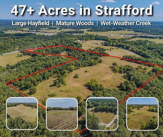 47.7 Acres of Recreational & Residential Land for Sale in Strafford, Missouri