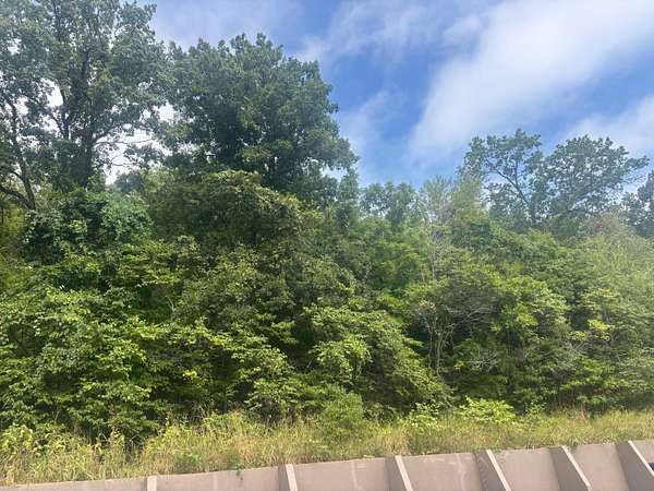 5 Acres of Land for Sale in Branson, Missouri