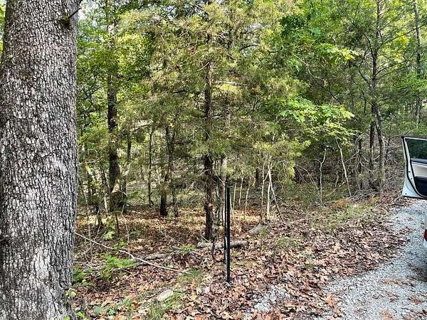 5 Acres of Residential Land for Sale in Protem, Missouri