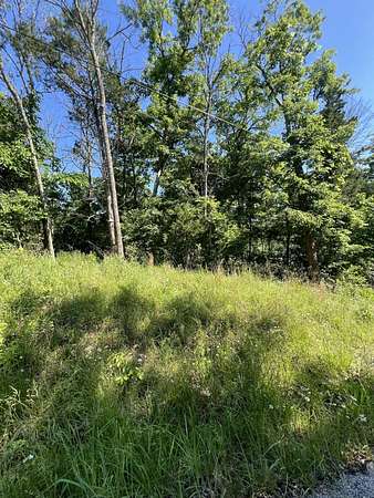0.12 Acres of Land for Sale in Branson, Missouri