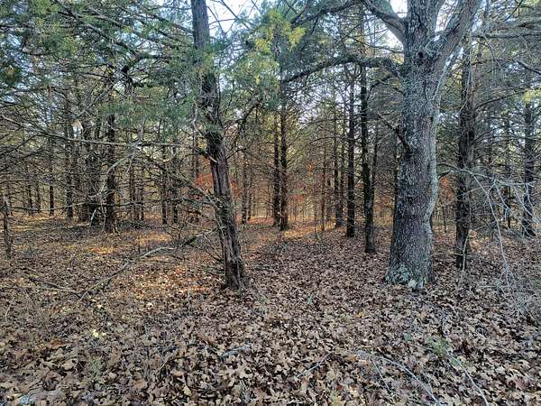 5 Acres of Land for Sale in Theodosia, Missouri
