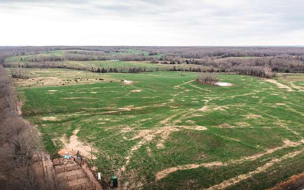 80 Acres of Agricultural & Residential Land for Sale in Licking, Missouri