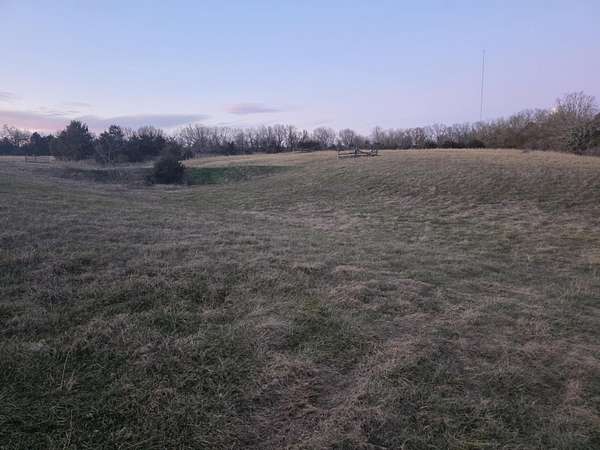 10 Acres of Residential Land for Sale in Fordland, Missouri