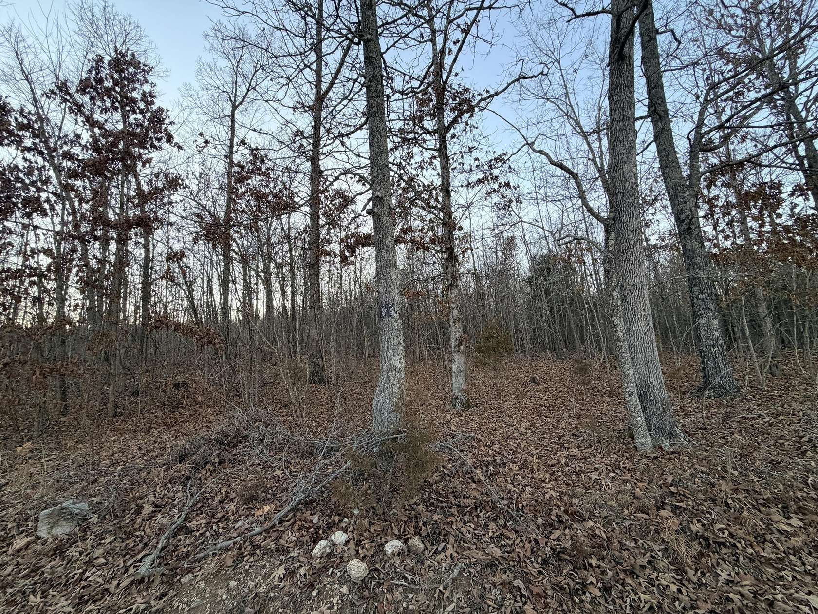 81 Acres of Recreational & Residential Land for Sale in Alton, Missouri