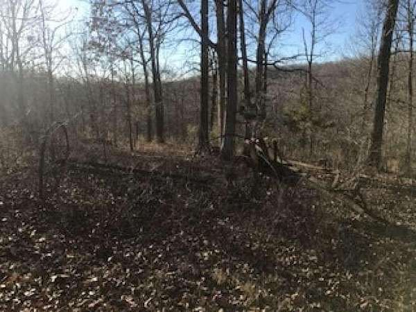 14.9 Acres of Land for Sale in Mansfield, Missouri