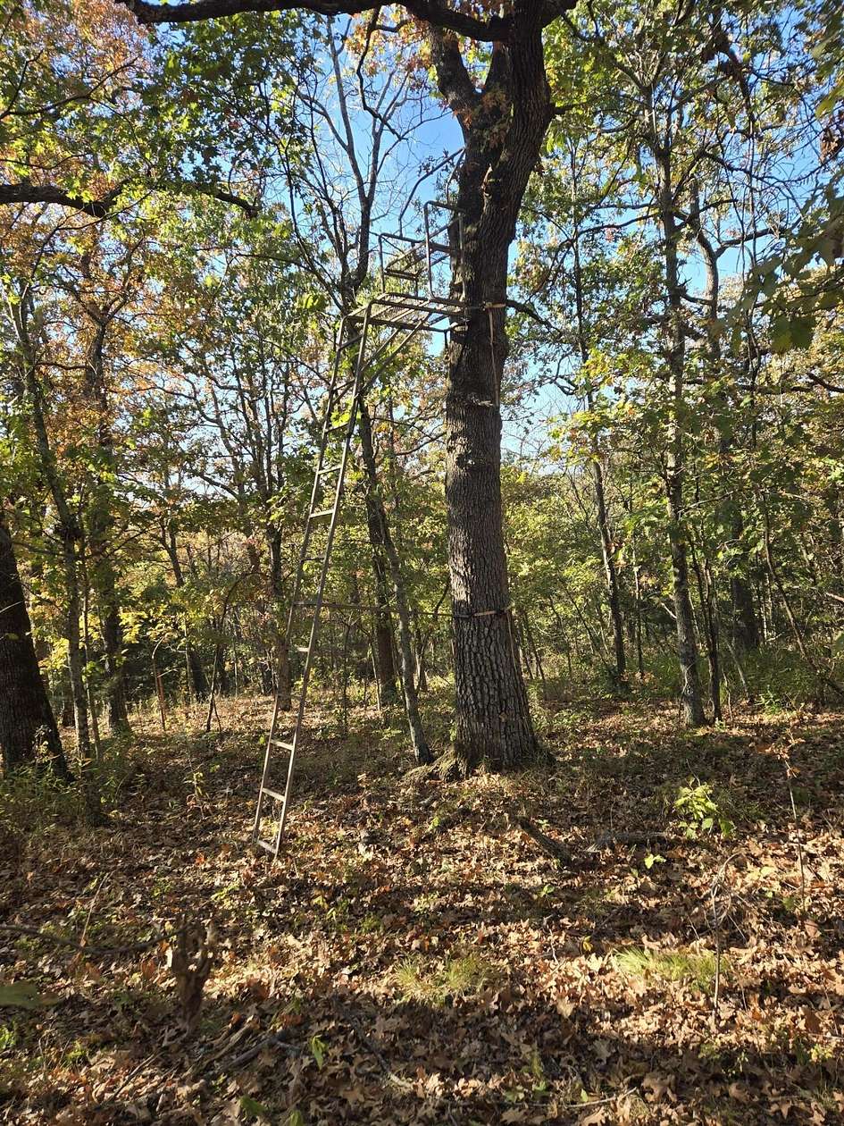 167 Acres of Land for Sale in Ava, Missouri