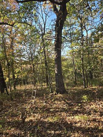 167 Acres of Land for Sale in Ava, Missouri