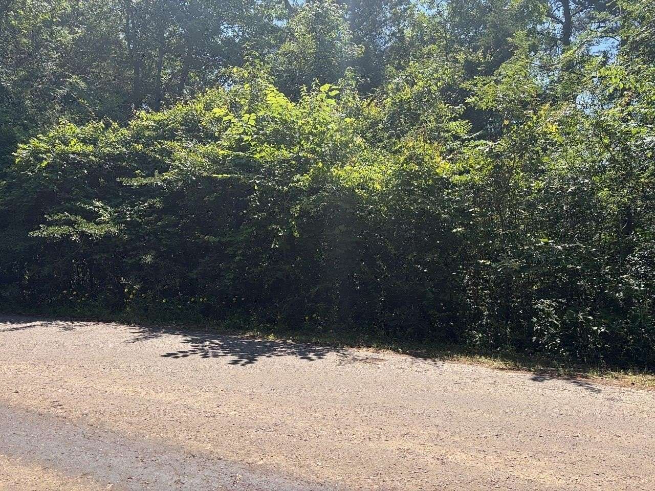 0.22 Acres of Residential Land for Sale in Harleton, Texas