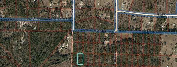 1.25 Acres of Land for Sale in Morriston, Florida