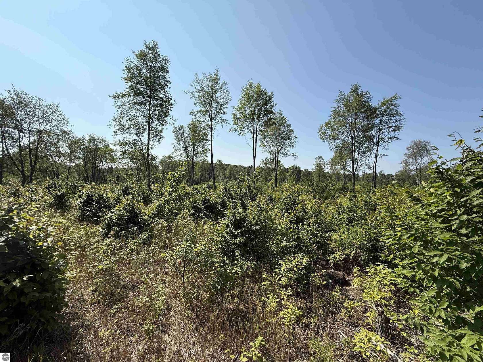 10 Acres of Land for Sale in Maple City, Michigan